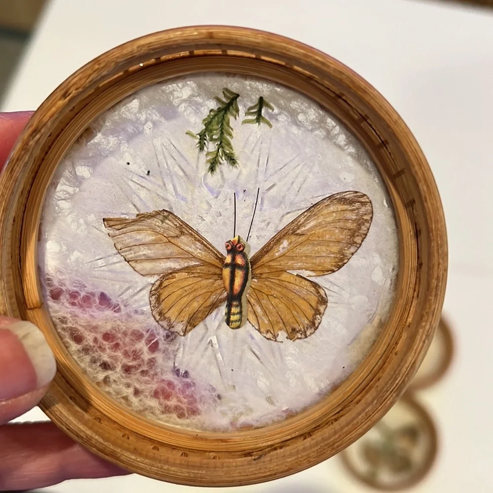 Vintage bamboo pressed butterfly coasters
